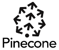 Pinecon-3